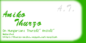 aniko thurzo business card